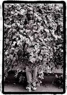 Bill Cosby Photograph by Dennis Hopper Bill Cosby Photograph by Dennis Hopper