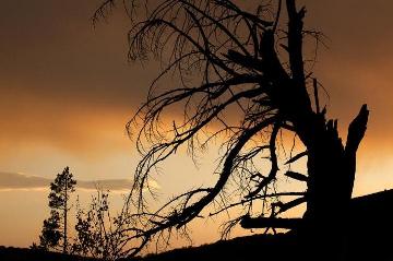 Landscape Photograph by Tipper Gore