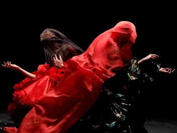 The Balance, photograph by Antonio Banderas