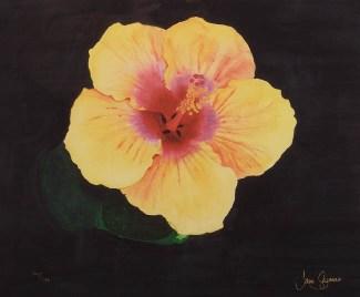 Hibiscus (Yellow) by Jane Seymour