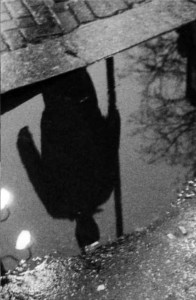Desirer Walks the Streets by Andy Summers